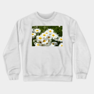 daisies Crewneck Sweatshirt